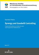 Synergy and Goodwill Controlling di Daniela Peters edito da Peter Lang