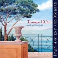 Trompe l'Oeil: Italy Ancient and Modern di Martin Benad, Ursula E. Benad edito da W W NORTON & CO