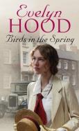 Birds in the Spring di Evelyn Hood edito da Little, Brown Book Group