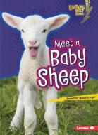 Meet a Baby Sheep di Jennifer Boothroyd edito da LERNER CLASSROOM