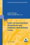 Topics On Concentration Phenomena And Problems With Multiple Scales edito da Springer-verlag Berlin And Heidelberg Gmbh & Co. Kg