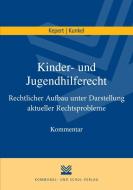 Handbuch Kinder- und Jugendhilferecht di Jan Kepert, Peter-Christian Kunkel edito da Kommunal-u.Schul-Vlg.