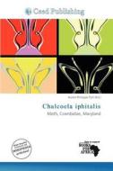 Chalcoela Iphitalis edito da Ceed Publishing