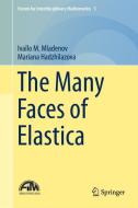 The Many Faces of Elastica di Mariana Hadzhilazova, Ivaïlo M. Mladenov edito da Springer International Publishing
