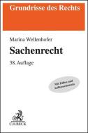 Sachenrecht di Manfred Wolf, Marina Wellenhofer edito da Beck C. H.