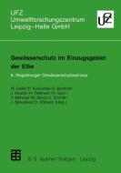 Gewässerschutz im Einzugsgebiet der Elbe edito da Vieweg+Teubner Verlag