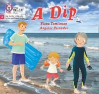 A Dip di Fiona Tomlinson edito da HarperCollins Publishers