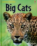 Big Cats di Jonathan Shelkh-Miller, Stephanie Turnbull edito da Usborne Books