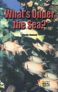 Whats Under the Sea di Claudia Diamon edito da Rosen Publishing Group