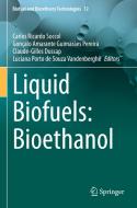Liquid Biofuels: Bioethanol edito da Springer International Publishing