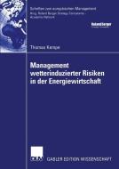 Management wetterinduzierter Risiken in der Energiewirtschaft di Thomas Kempe edito da Deutscher Universitätsverlag