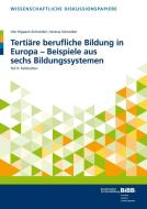 Tertiäre berufliche Bildung in Europa - Beispiele aus sechs Bildungssystemen II di Ute Hippach-Schneider, Verena Schneider edito da Budrich