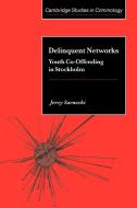 Delinquent Networks di Jerzy Sarnecki, Sarnecki Jerzy edito da Cambridge University Press