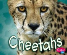 Cheetahs di Deborah Nuzzolo edito da Pebble Plus