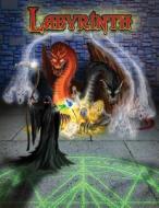 Labyrinth: Rulebook di MR Christopher L. Zimmerman Sr edito da Createspace