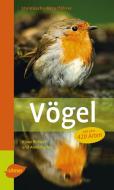 Steinbachs Naturführer Vögel di Klaus Richarz, Anne Puchta edito da Ulmer Eugen Verlag