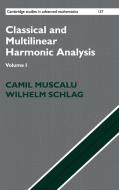 Classical and Multilinear Harmonic Analysis di Camil Muscalu, Wilhelm Schlag edito da Cambridge University Press