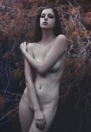Israeli Nude Models Catalog 4 di VARIETY edito da Lightning Source Uk Ltd