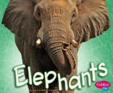 Elephants di Sydnie Meltzer Kleinhenz edito da Pebble Plus