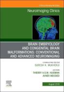 Brain Embryology and the Cause of Congenital Malformations, An Issue of Neuroimaging Clinics of North America di Thierry A. G. M. Huisman, Avner Meoded edito da Elsevier - Health Sciences Division