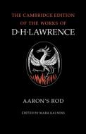 Aaron's Rod di D. H. Lawrence edito da Cambridge University Press