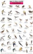 Northwest Park and Backyard Birds di Craig MacGowan edito da Mountaineers Books