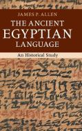 The Ancient Egyptian Language di James P. Allen edito da Cambridge University Press