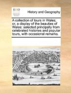 A Collection Of Tours In Wales; Or, A Display Of The Beauties Of Wales di Multiple Contributors edito da Gale Ecco, Print Editions