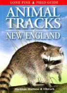 Animal Tracks of New England di Ian Sheldon edito da Lone Pine Publishing