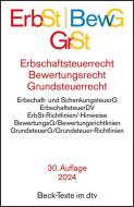 Erbschaftsteuerrecht / Bewertungsrecht / Grundsteuerrecht edito da dtv Verlagsgesellschaft