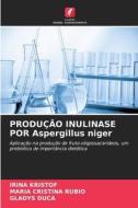 PRODUÇÃO INULINASE POR Aspergillus niger di Irina Kristof, María Cristina Rubio, Gladys Duca edito da Edições Nosso Conhecimento