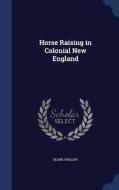 Horse Raising In Colonial New England di Deane Phillips edito da Sagwan Press