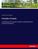 Principles of Equity di George Tucker Bispham edito da hansebooks