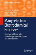Many-electron Electrochemical Processes di Aleksandr A. Andriiko, Yuriy O Andriyko, Gerhard E. Nauer edito da Springer Berlin Heidelberg