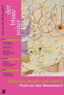 Der Blaue Reiter. Journal für Philosophie / Wahnsinn, Rausch und Gefühle di Ulla Hahn, Franz Josef Wetz, Martin Seel edito da der blaue Reiter