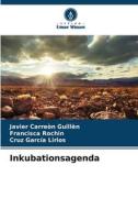 Inkubationsagenda di Javier Carreón Guillén, Francisca Rochin, Cruz García Lirios edito da Verlag Unser Wissen