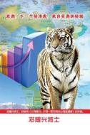 Africa, the Next Economic Tiger: Lessons from Asia (Mandarin) di Michael Teng, Dr Michael Teng edito da Corporate Turnaround Centre Pte Ltd