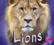 Lions di Catherine Ipcizade edito da Pebble Plus