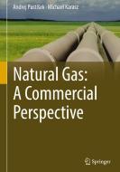 Natural Gas: A Commercial Perspective di Andrej PustiSek, Michael Karasz edito da Springer-Verlag GmbH