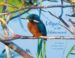Vögel in der Uckermark di Reinhard Scholz edito da Schibri-Verlag