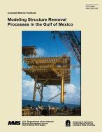 Modeling Structure Removal Processes in the Gulf of Mexico di Dmitry V. Mesyanzhinov, Allan G. Pulsipher, Mark J. Kaiser edito da Createspace
