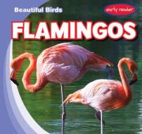 Flamingos di Bray Jacobson edito da GARETH STEVENS INC