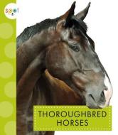 Thoroughbred Horses di Alissa Thielges edito da SPOT