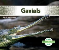 Gavials di Grace Hansen edito da ABDO KIDS
