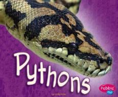 Pythons di Jody Sullivan Rake edito da Pebble Plus