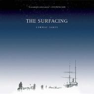 The Surfacing di Cormac James edito da Blackstone Audiobooks