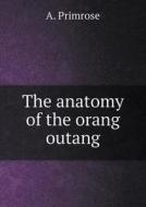The Anatomy Of The Orang Outang di A Primrose edito da Book On Demand Ltd.