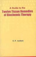 Guide To The Twelve Tissue Remedies Of Biochemic Therapy di Edward Pollock Anshutz edito da B Jain Publishers Pvt Ltd