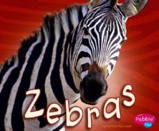 Zebras di Catherine Ipcizade edito da Pebble Plus