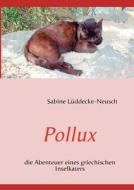 Pollux di Sabine L Ddecke-Neusch edito da Books On Demand
